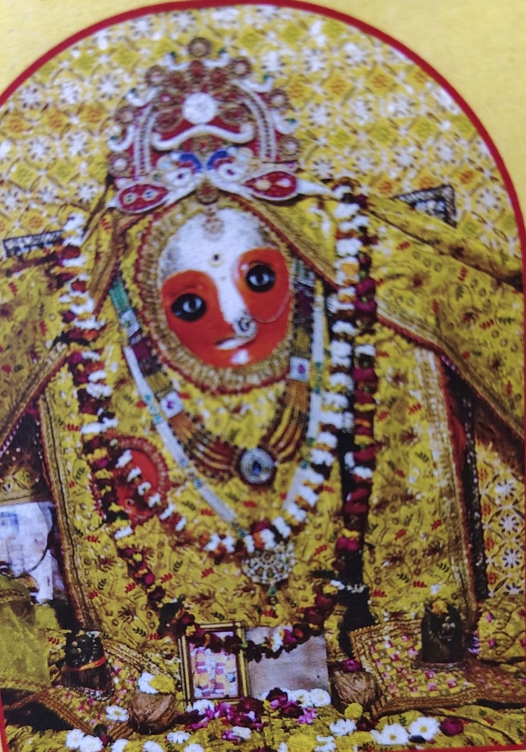 माँ बगलामुखी जयंती पर होंगे भव्य आयोजन